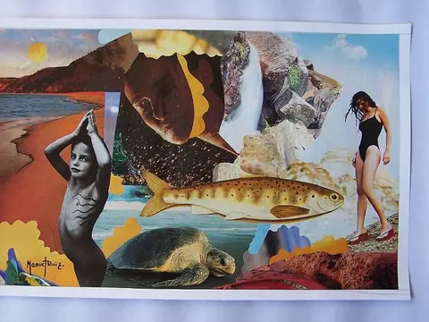 Collage e ilustración