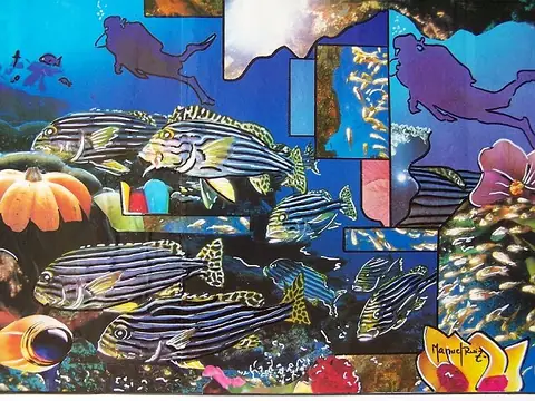 Collage e ilustración
