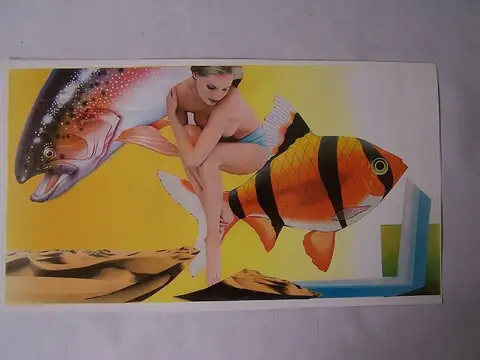 Collage e ilustración