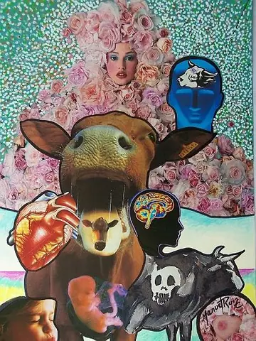 Collage e ilustración