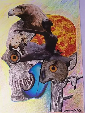 Collage e ilustración
