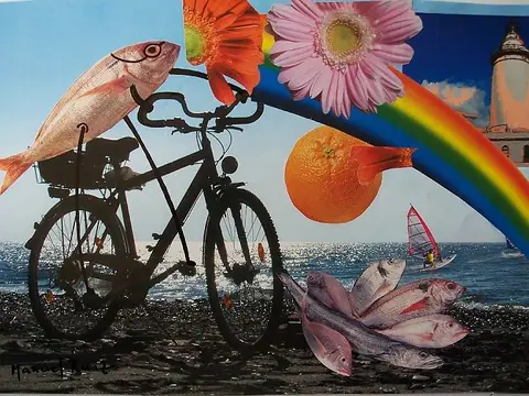 Collage e ilustración