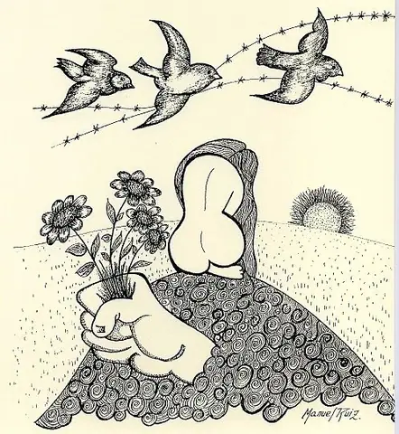 Collage e ilustración