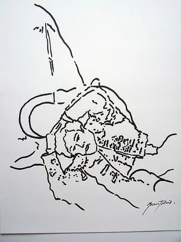 Tauromaquia y flamenco